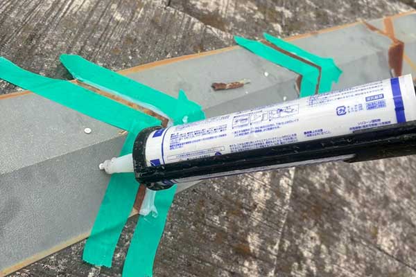 雨漏り修理|害虫駆除のイッシーさんの施工メニュー