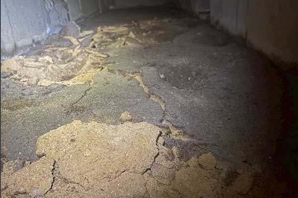 湿気対策など原因解消工事｜害虫駆除のイッシーさんの施工メニュー