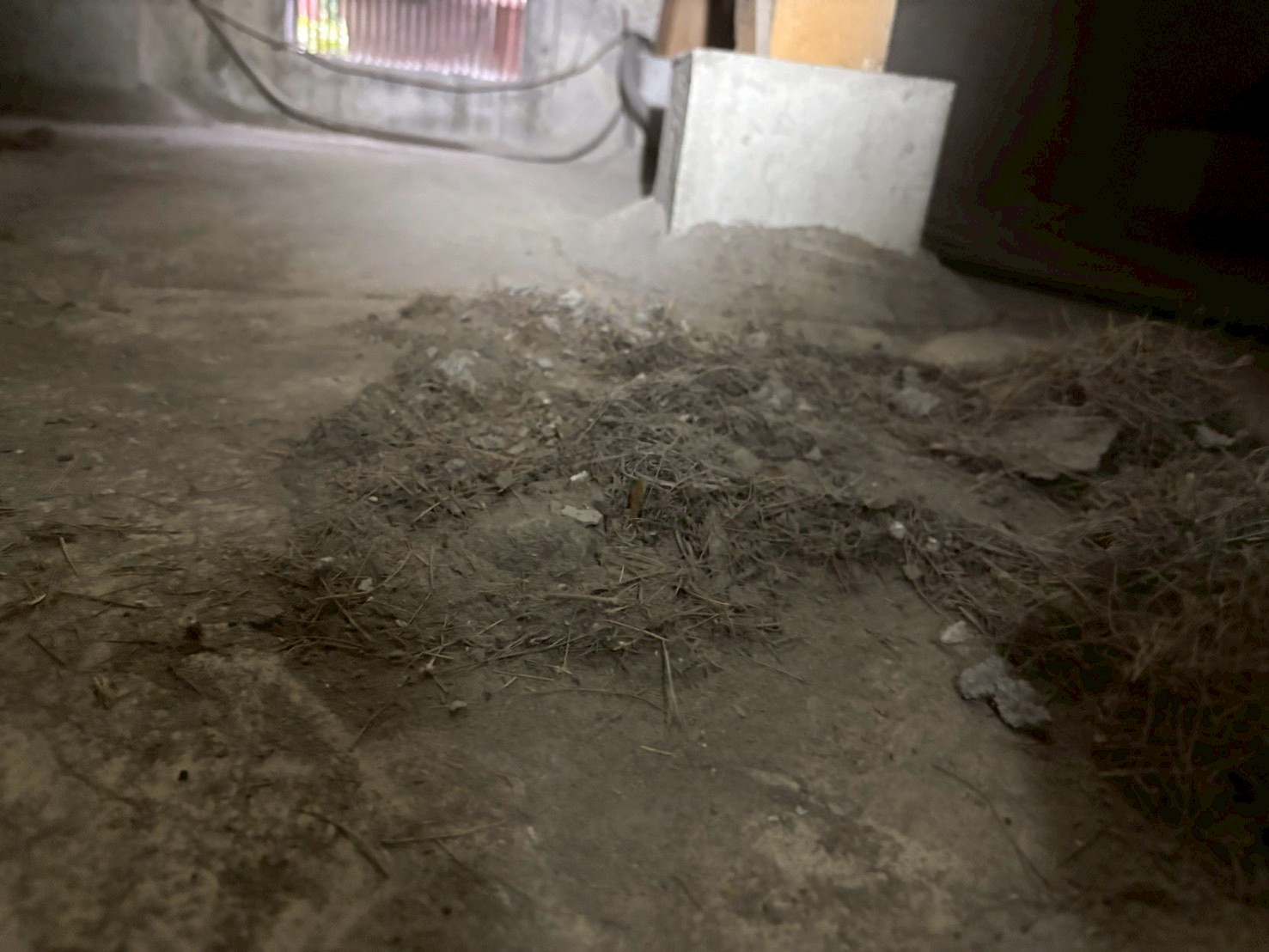 奈良市四条大路のご住宅にてシロアリ駆除工事〈床下カビ除去工事〉 施工前