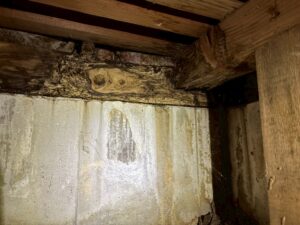 奈良市法華寺町のご住宅にてシロアリ駆除工事 施工前